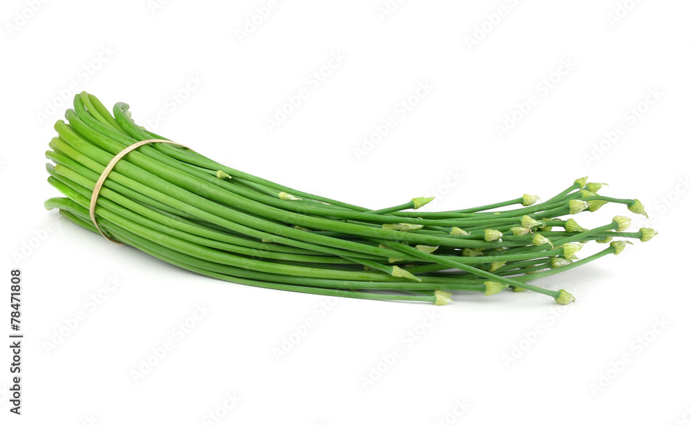 garlic flowers on white background garlic flowers on white background