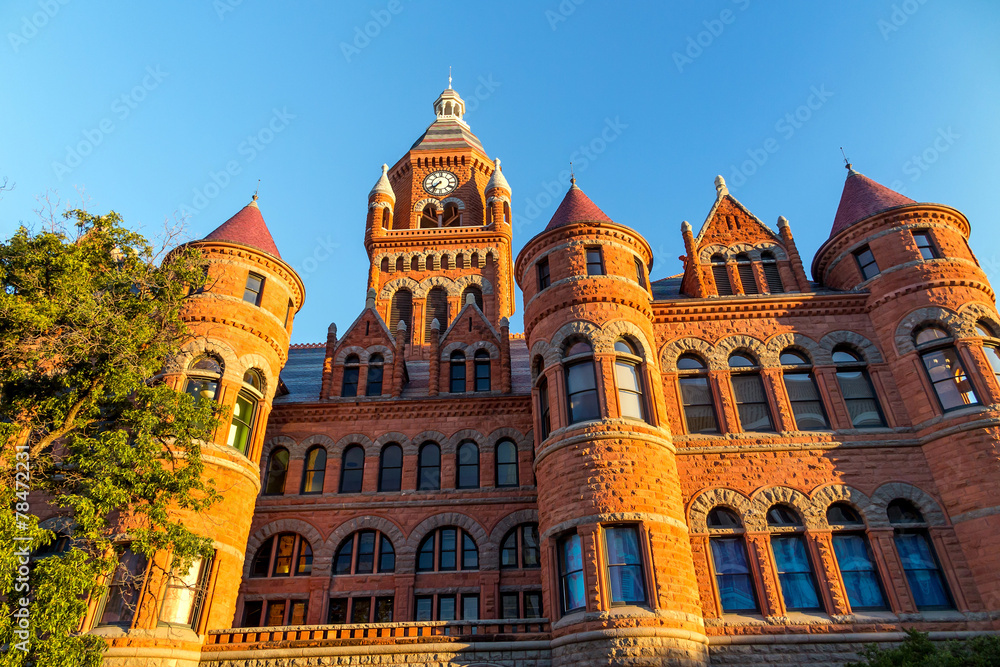 Obraz premium The Dallas County Courthouse