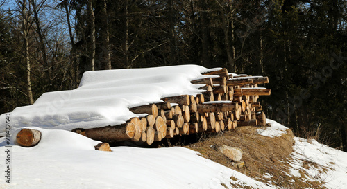 Wallpaper Mural pile of logs cut in the mountains under the snow Torontodigital.ca