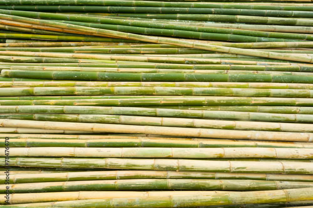 bamboo background bamboo background