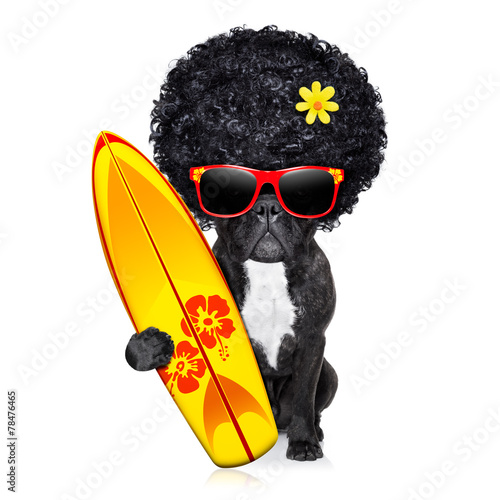 surfer dog photo