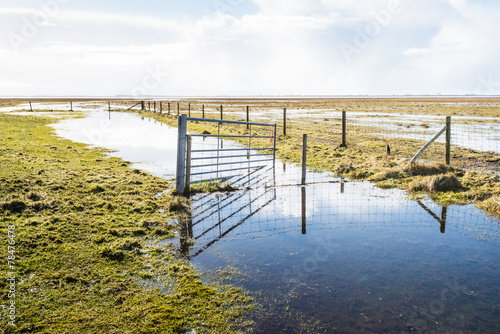 Crooked steel gate in a flooded nature area