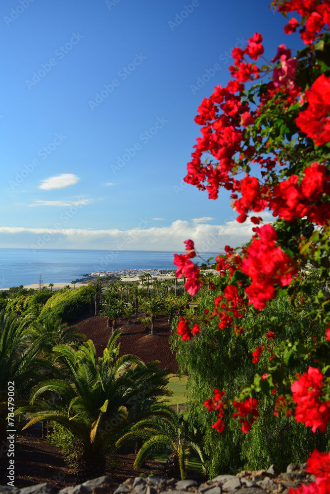 Coast in Tenerife with tropical garden Canary Island ,Spain