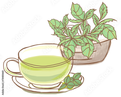 ハーブティーのイメージ Stock イラスト Adobe Stock