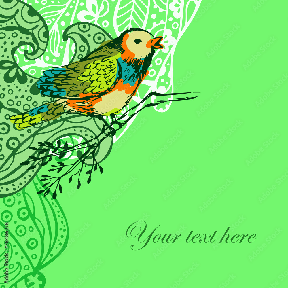 Bird background Bird background