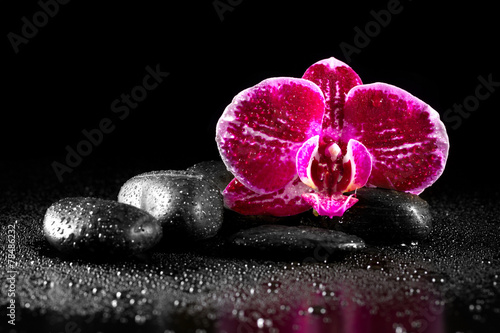Fototapeta Naklejka Na Ścianę i Meble -  Orchid flower with zen stones on black background