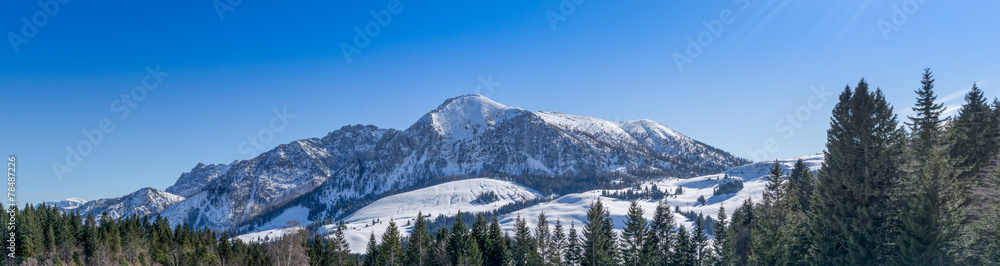 Berg im Winter