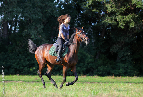 Young lady riding on warmblood horse