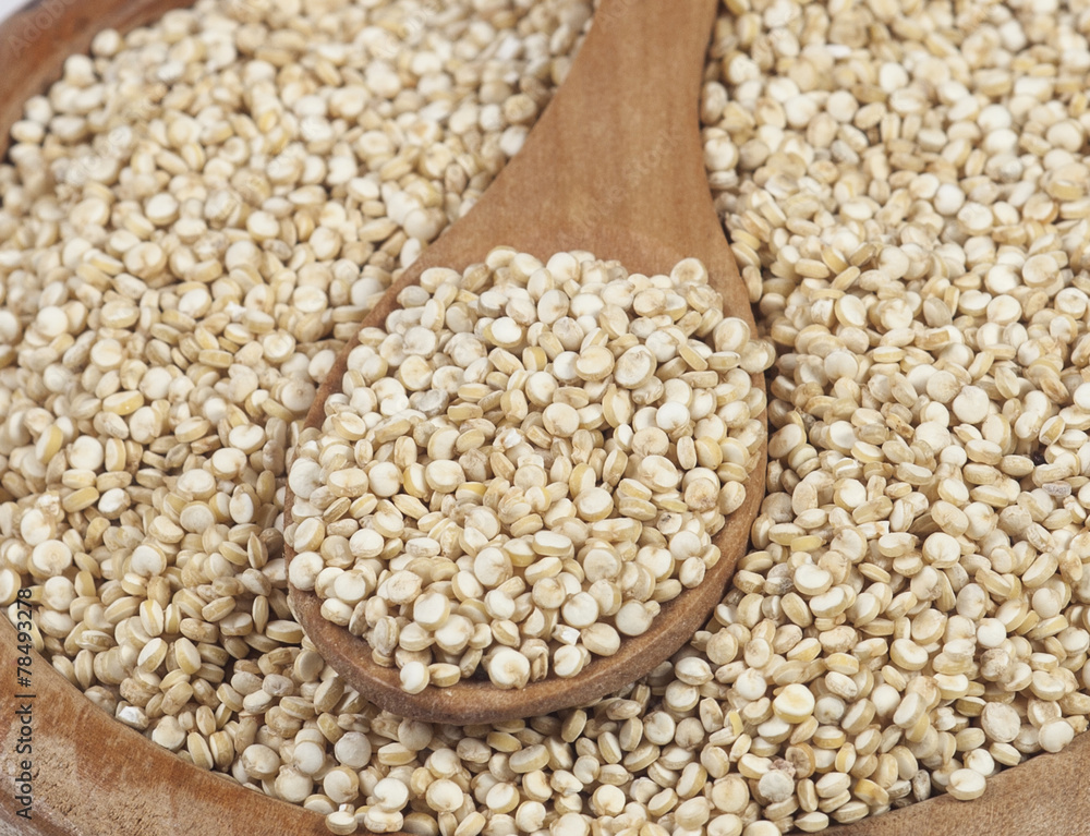 Quinoa Quinoa