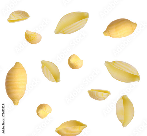 Assorted pasta, shells