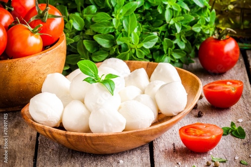 mozzarella  organic cherry tomatoes and fresh basil