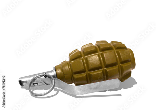 Wallpaper Mural Combat grenade on a white background. Torontodigital.ca