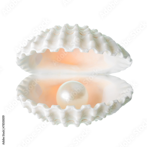 open beautiful soft white cockleshell with pearl is isolated on