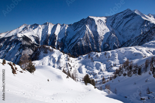 winter landscape