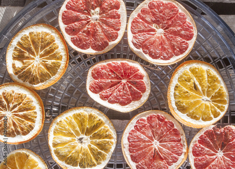 Drying grapefruit and orange Drying grapefruit and orange