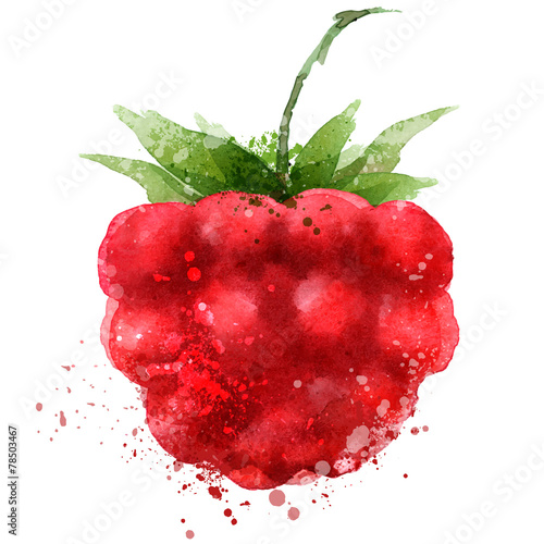 Berry vector logo design template. Raspberry or food icon.