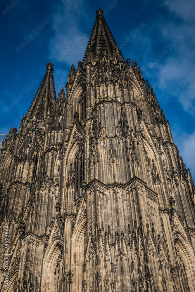 Fototapeta premium Kölner Dom