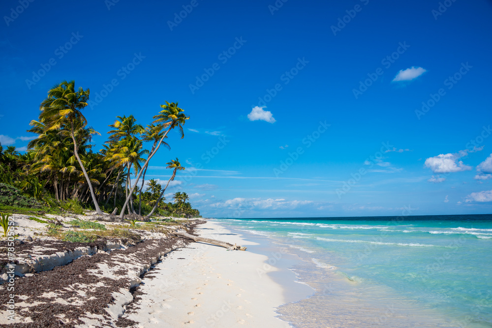Tulum beach view, caribbean paradise, at Quintana Roo, Mexico.