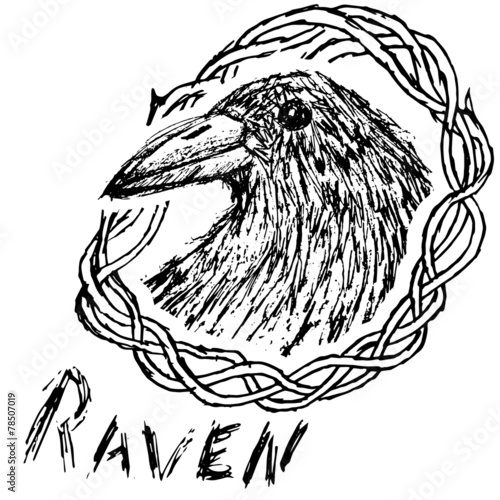 Crow raven handdrawn sketch in blackthorn  isolated on white