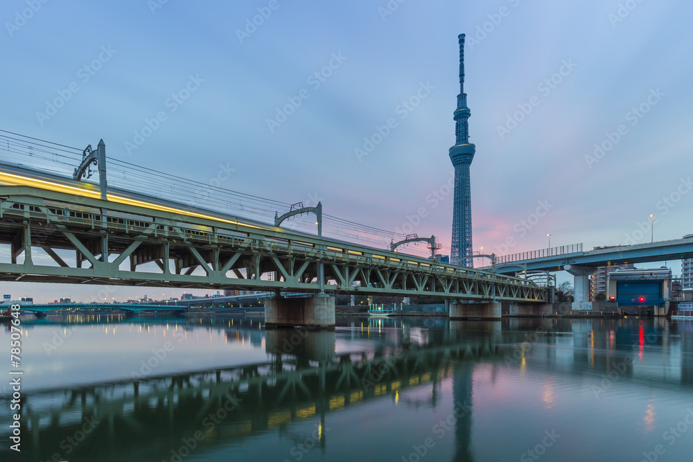 Fototapeta premium View of Tokyo skytree from Sumida river