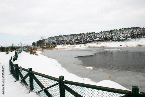 lake house photo