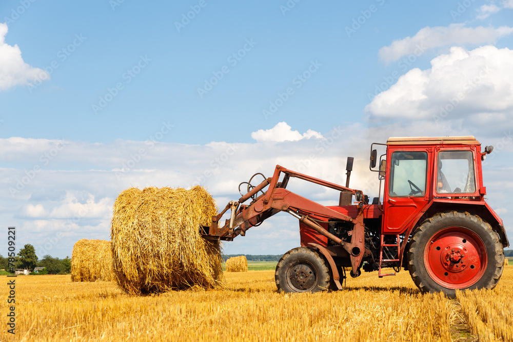 Fototapeta premium Tractor carrying hay