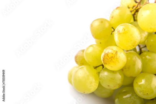 Green Grape Fruits