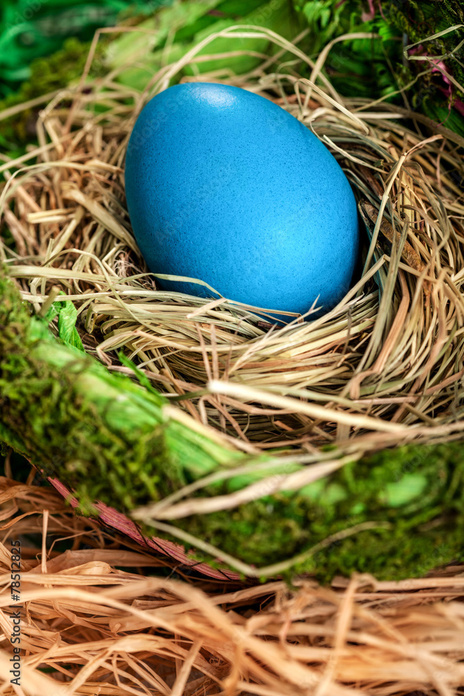 Obraz premium Colored Easter egg in a nest