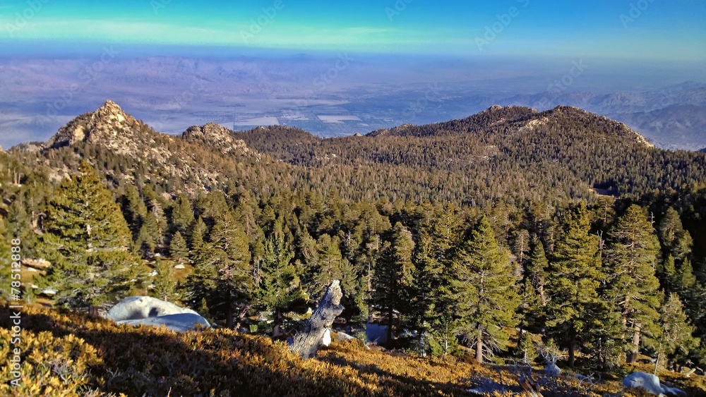 Obraz premium Scenic View of Palm Springs from Mountain Top in San Jacinto
