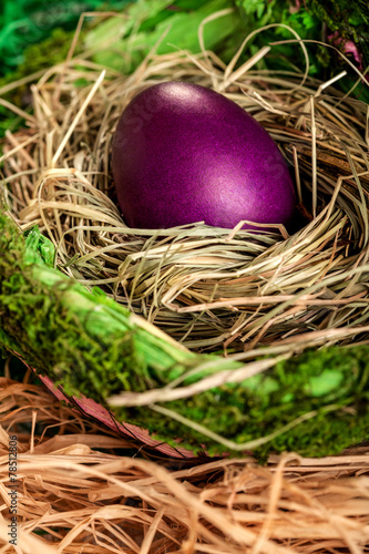 Easter egg in a nest