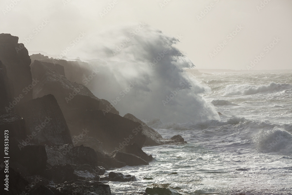 Fototapeta premium Storm in the ocean