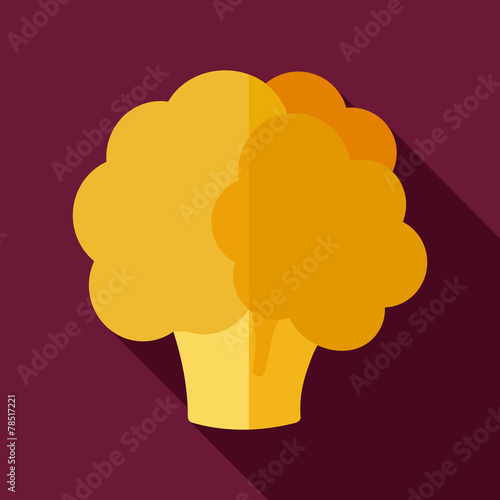 Cauliflower flat icon with long shadow