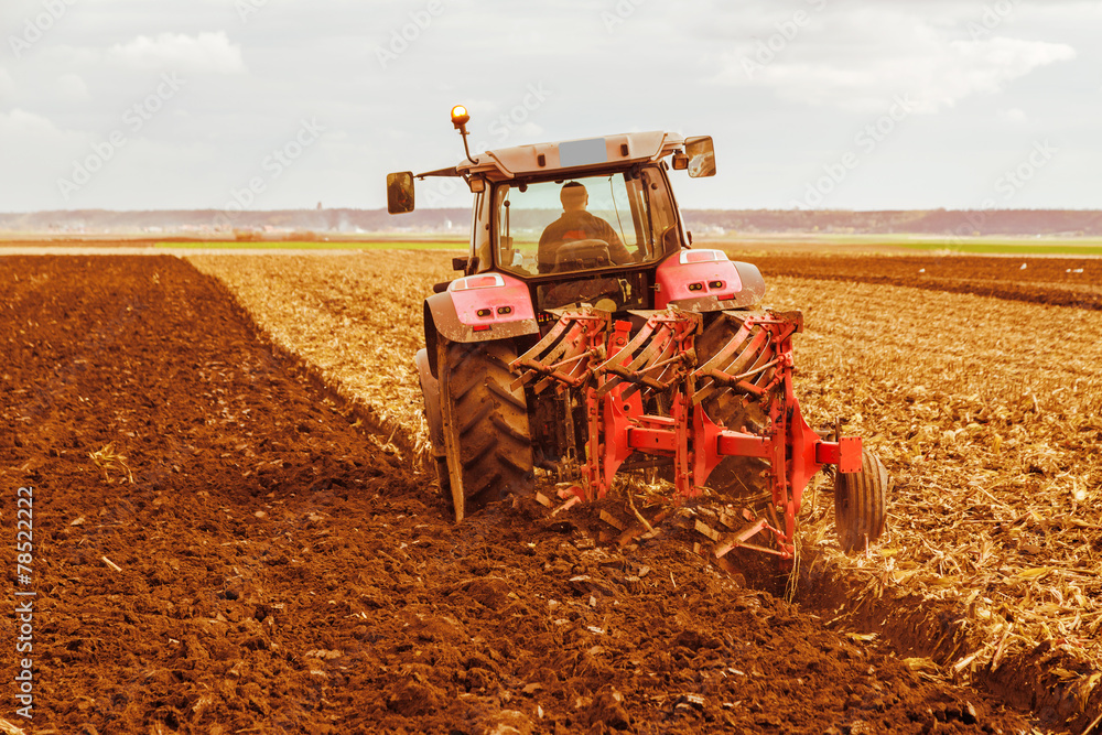 Fototapeta premium Farmer plowing stubble field with red tractor