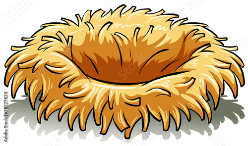 A bird's nest
