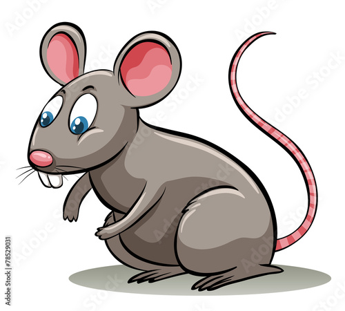 Fototapeta Naklejka Na Ścianę i Meble -  A lion's share idiom