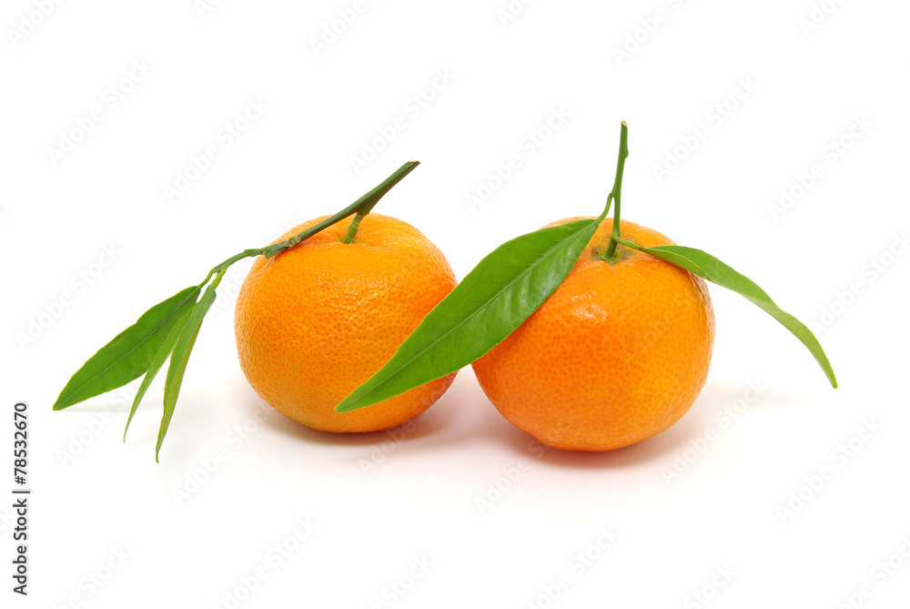mandarin mandarin