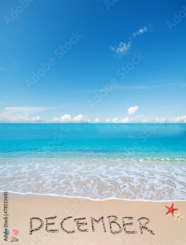 december on a tropical beach under clouds