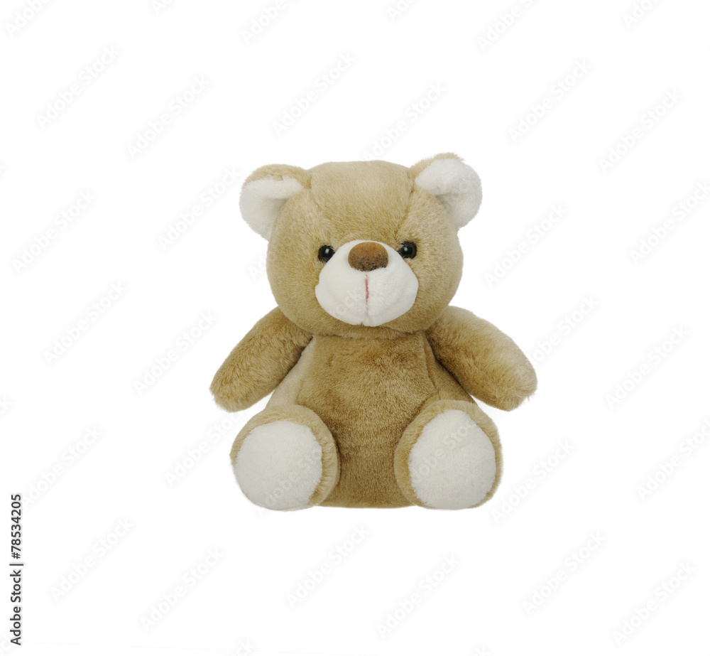Obraz premium teddy bear