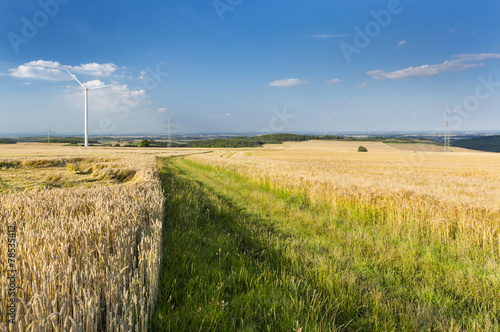 Eifel Summer Fields, Germany photo