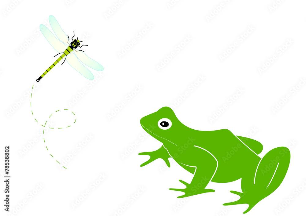 Obraz premium Grenouille face à une libellule