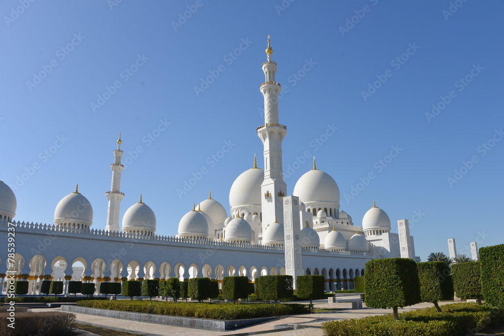View of the grand mosque in Abu Dhabi