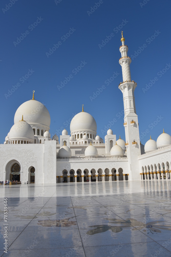 Fototapeta premium Moskee in Abu Dhabi