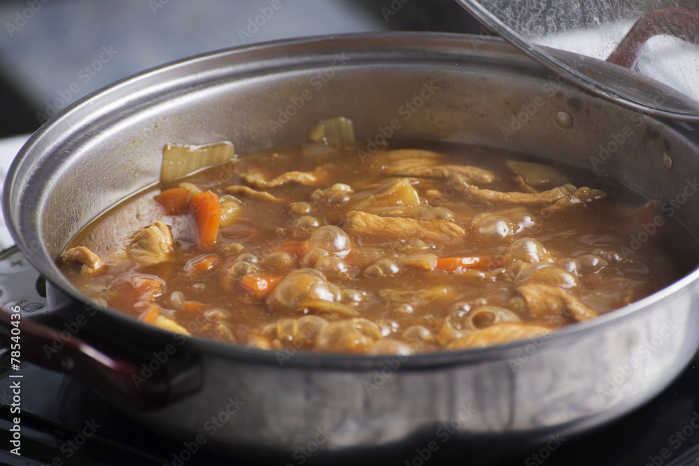 Japanese pork curry in the pot Japanese pork curry in the pot