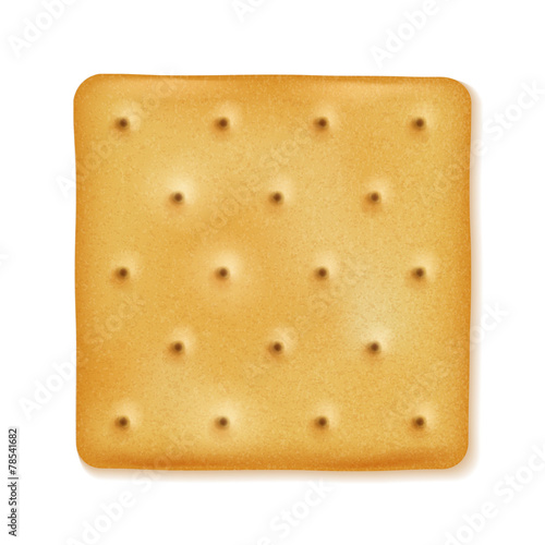 Fényképezés Crispy cracker isolated. Crunchy biscuit.