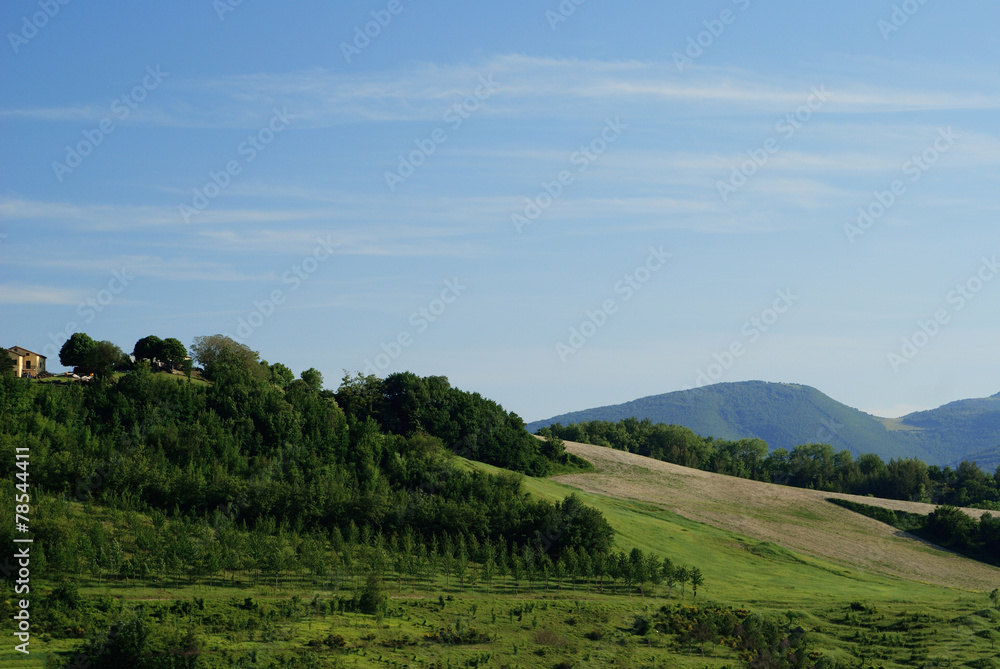 Fototapeta premium glassy surface of lake and blue mountains.