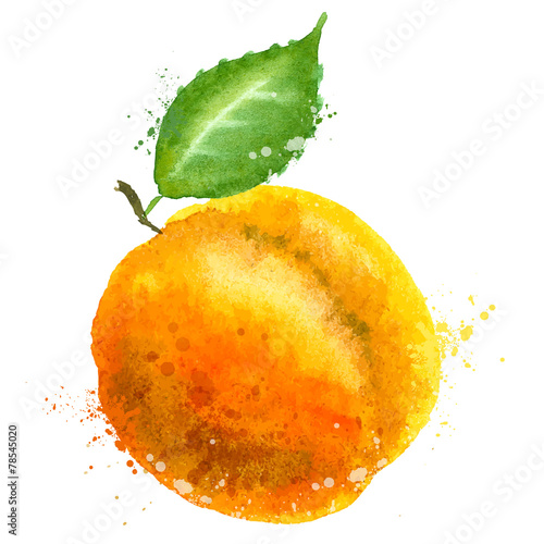 Apricot vector logo design template. Peach or fruit icon.