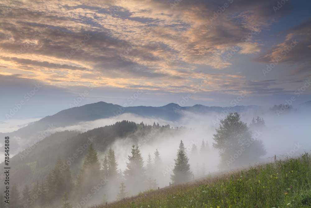 Amazing sunrise in the mountains with fog and sun. Carpathian Mo