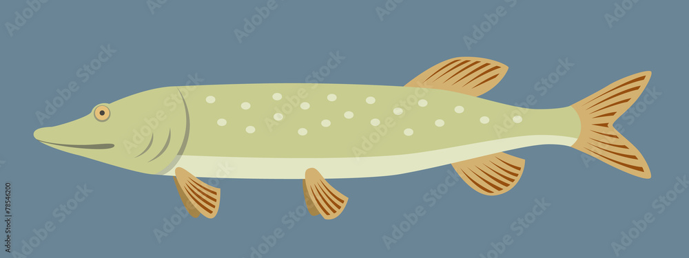 Pike Fish In Flat Style