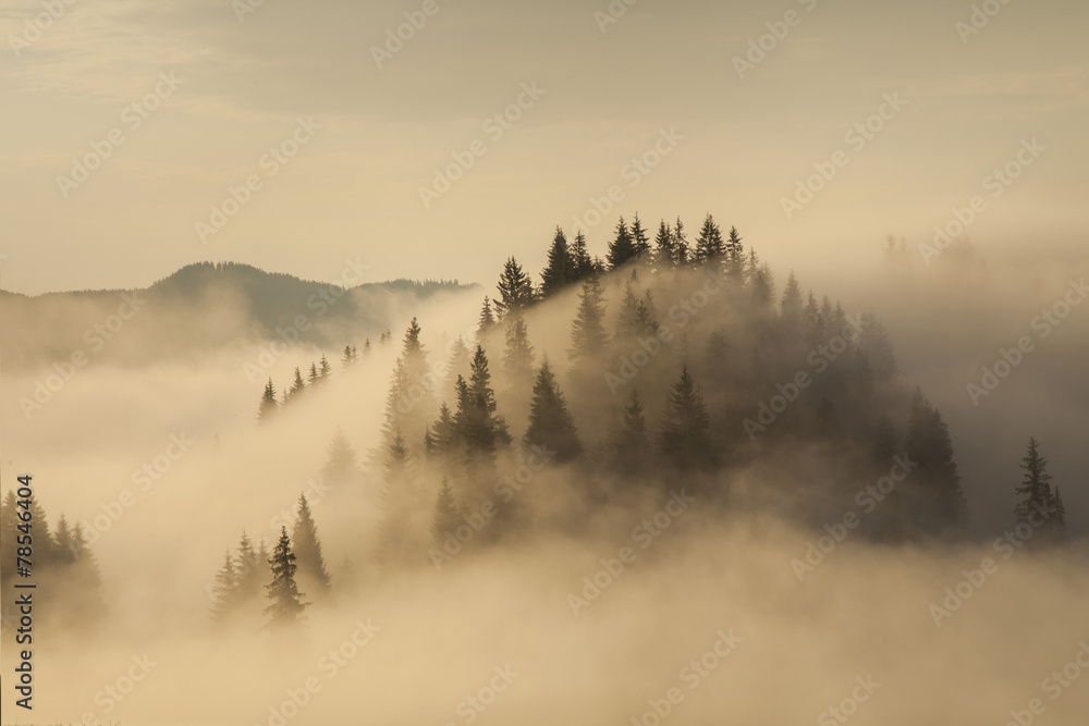 Amazing mountain landscape with dense fog. Carpathian Mountains. - obrazy, fototapety, plakaty 