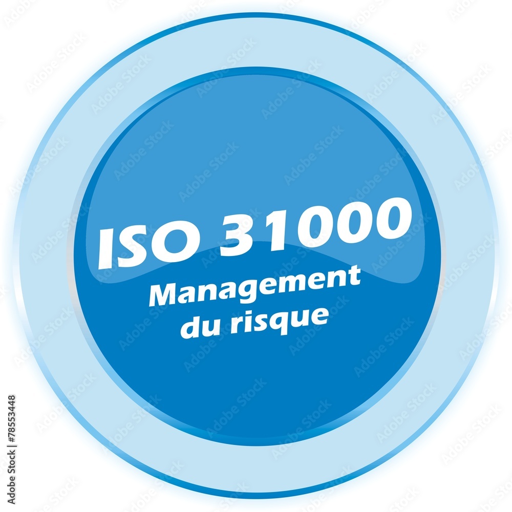 BOUTON ISO 31000 BOUTON ISO 31000